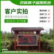 去公園吸氧，看看負氧離子在線監(jiān)測儀！
